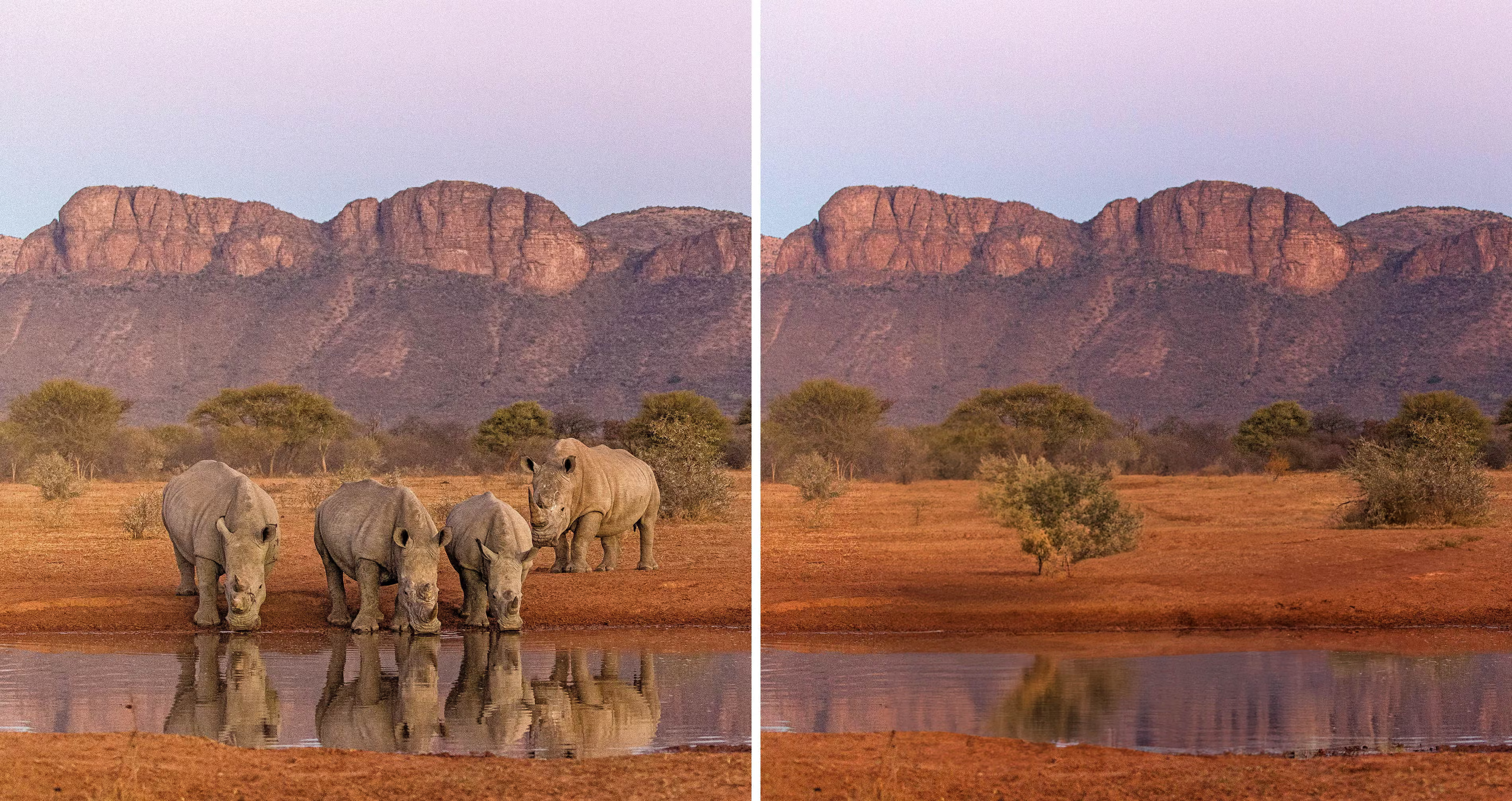 Slika iz knjige Remembering Wildlife