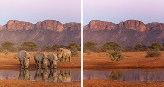 Upozorenje s fotografija Margot Raggett: Svijet bez divljih životinja