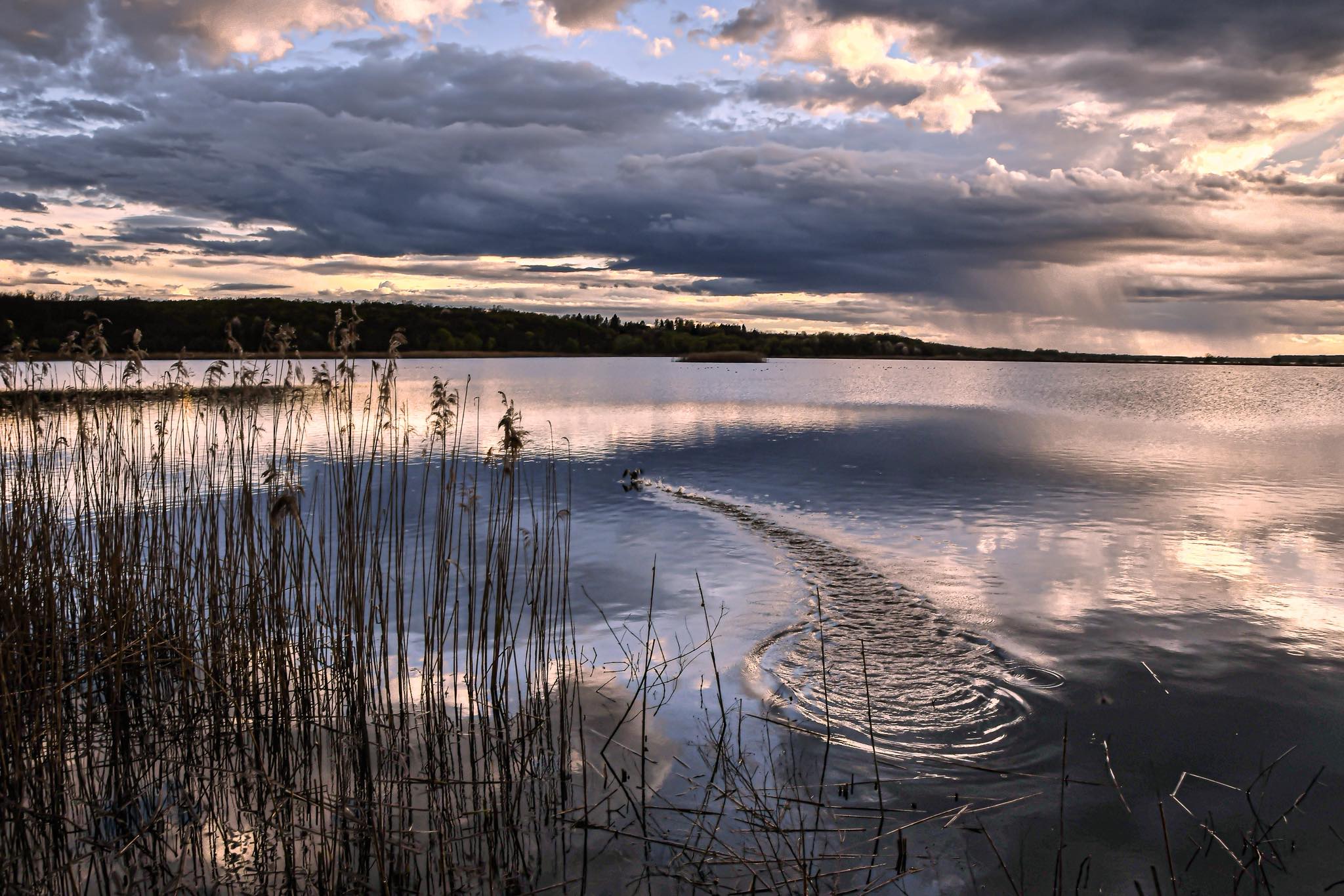 Ribnjačarstvo Končanica želi veću proizvodnju i plutajuću solarnu elektranu