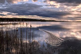 Ribnjačarstvo Končanica želi veću proizvodnju i plutajuću solarnu elektranu