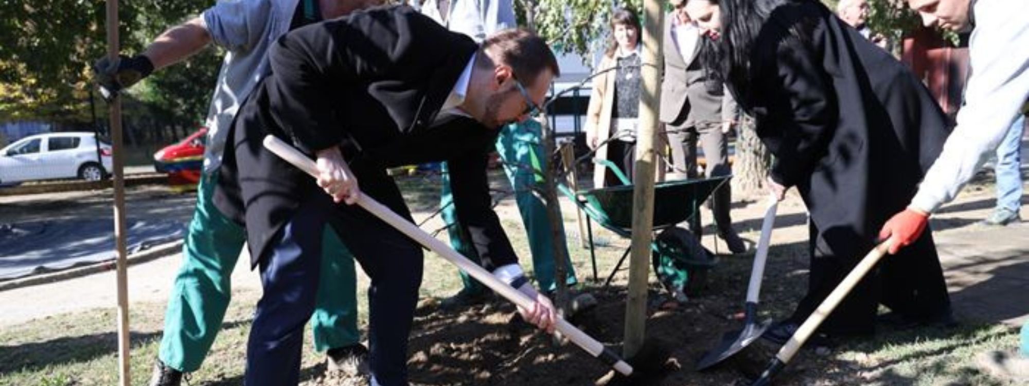 Sadnja stabala stablo tomislav tomašević