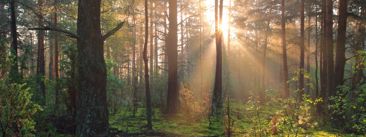 Direktorica Europske agencije za okoliš: Hrvatska dobro napreduje u zaštiti okoliša 