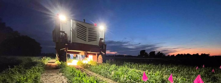 Laseri protiv korova: Umjetna inteligencija zamjenjuje herbicide na američkim farmama