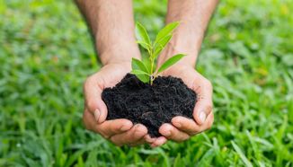 „Ljudski kompost“: Njemačka dobiva klimatski prihvatljivu alternativu pokopu