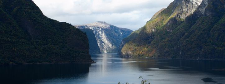 Nevidljiva katastrofa: Migracije riječnih riba smanjuju se rekordnom brzinom