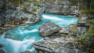Klimatske promjene sve više zaslanjuju slatke vode. To je problem za bioraznolikost