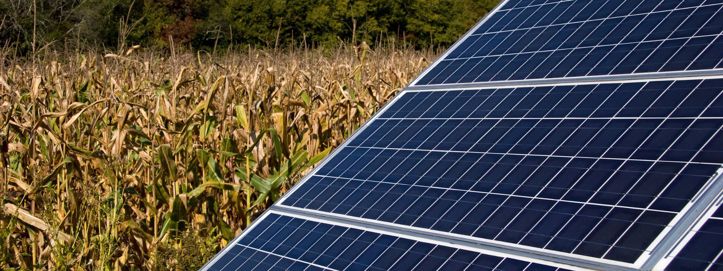 Postavljanje solarnih panela na poljoprivrednom zemljištu pomaže poljoprivrednicima i energetskom sustavu