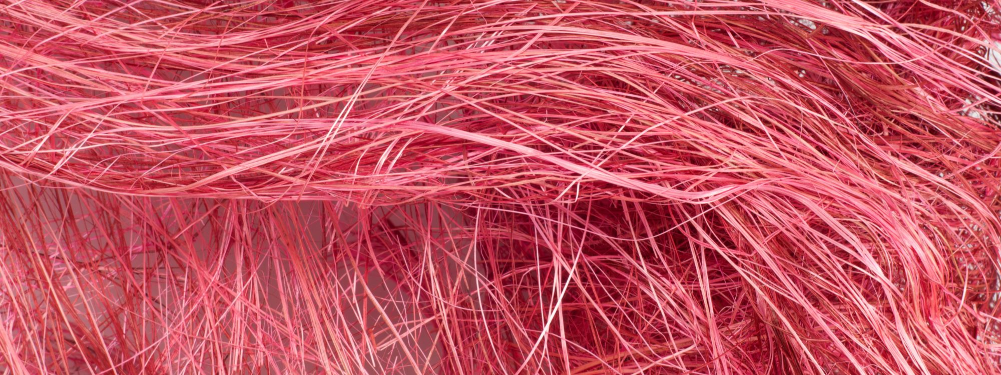 Životni ciklus mokovlakana: Kako nit sintetičke majice završava u tlu, životinjama i nama