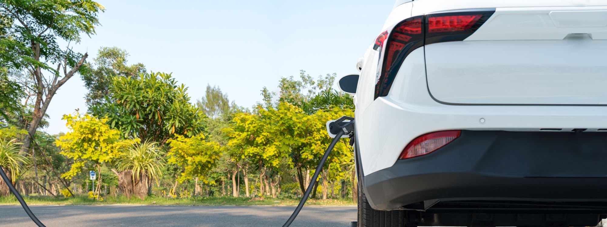 Mogu li se električni auti zaista lako zapaliti? Evo što kažu brojke električni auto