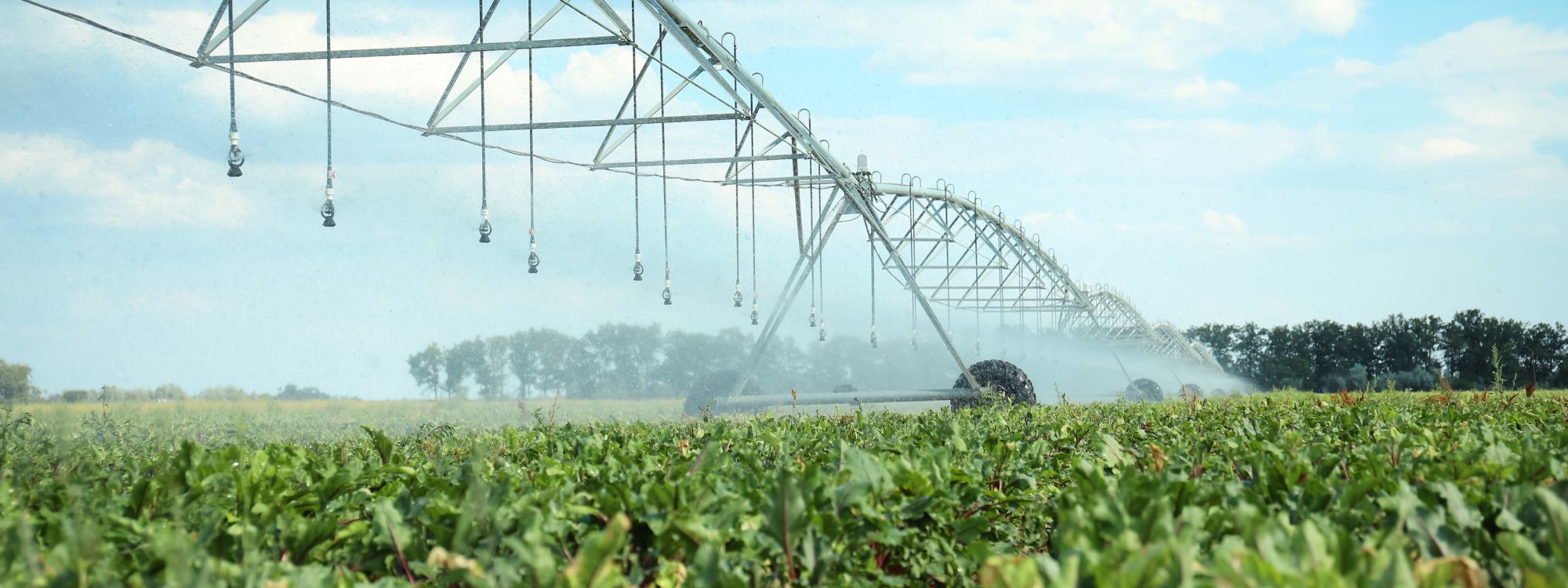 navodnjavanje poljoprivreda polje
