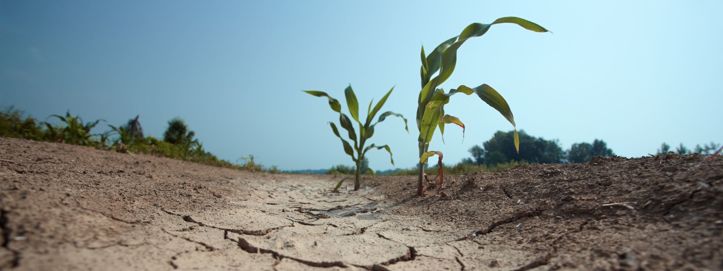 Što povratak El Niña znači za svijet: 2027 dolaze suše, poplave i skuplja hrana
