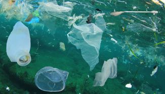 UFM: U Sredozemnom moru bi za 25 godina moglo biti više plastike nego ribe