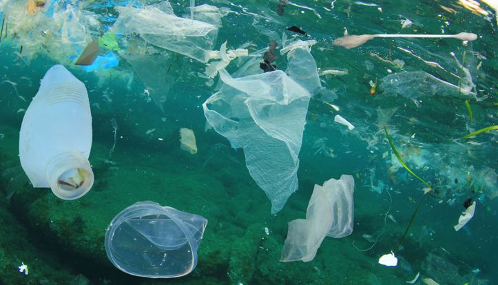 Plastisfera: Plastika u moru postaje živi ekosustav