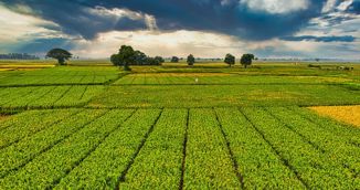 Carine na ruska umjetna gnojiva povećavaju troškove europskim poljoprivrednicima