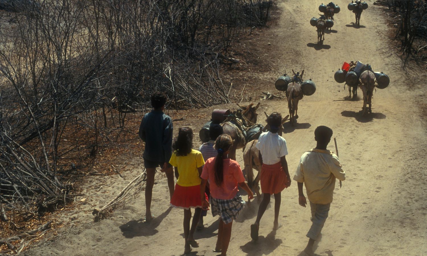 Povećanje dugotrajno suhih područja 'redefinira život na Zemlji'
