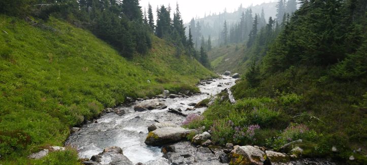 Svjetski dan voda ove godine pod sloganom "Voda i rod"